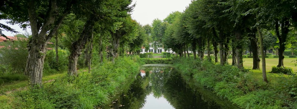 Lindenallee in Seestermühe