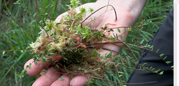 Tävsmoor Heist/Appen