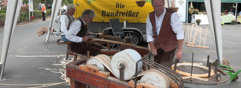 Bandreißer in Hetlingen