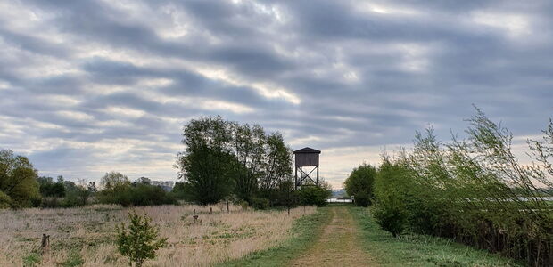 Schanzenturm Hetlingen
